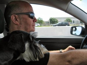 1382038_10151915450930470_630736696_n